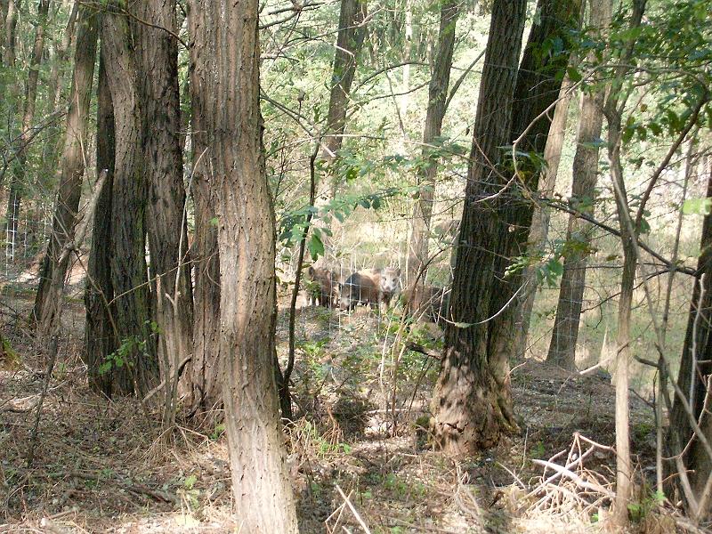2010.10.10. 045.jpg